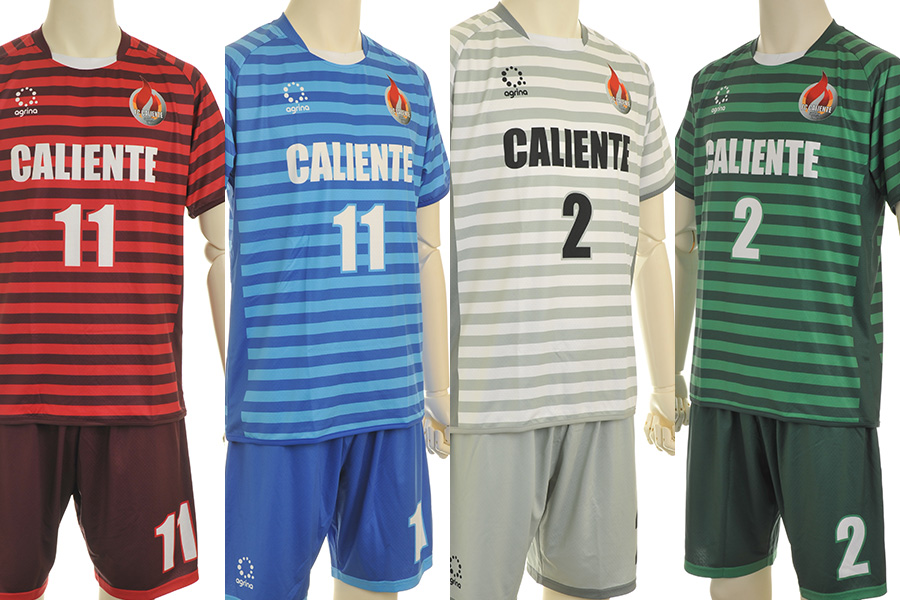 2016年度公式戦 アグリナ ユニフォーム完成